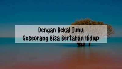 kumpulan link ebook pemrograman