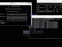 10 Sistem Operasi Terbaik Untuk Ethical Hacking