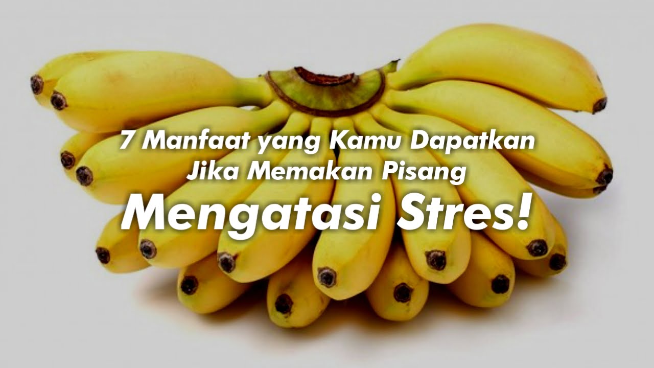 7 Manfaat Yang Kamu Dapatkan Jika Memakan Pisang, Mengatasi Stres!