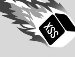 [ Bug Bounty ] XSS On FreeDNS Afraid