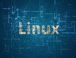 Install Kali Linux di Android Dengan LinuxDroid