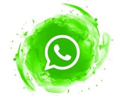 5 Tips Aman Jaga Akun WhatsApp dari Penjahat Cyber