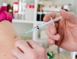 Tutorial SQL Injection print nick,image,& database tabel