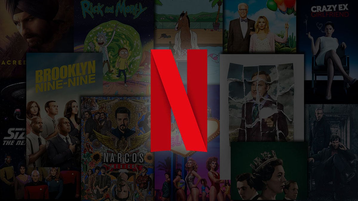 apa itu netflix