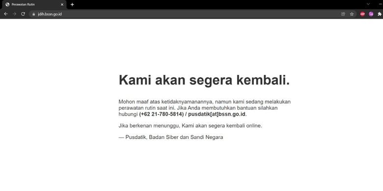 jdih bssn bocor