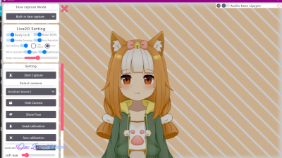 model vtuber