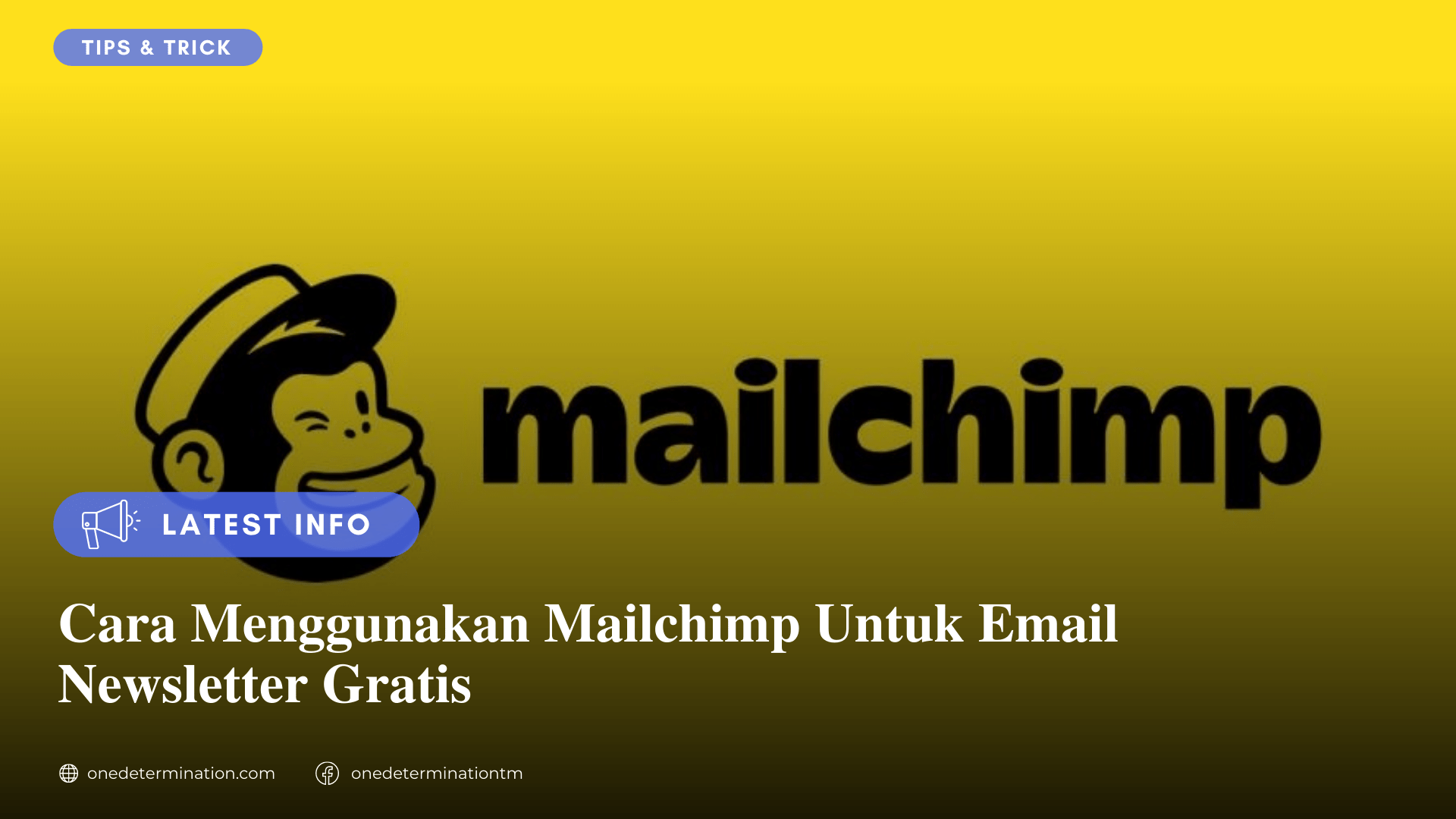 Email Newsletter Gratis