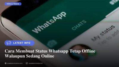 Cara Membuat Status Whatsapp Tetap Offline