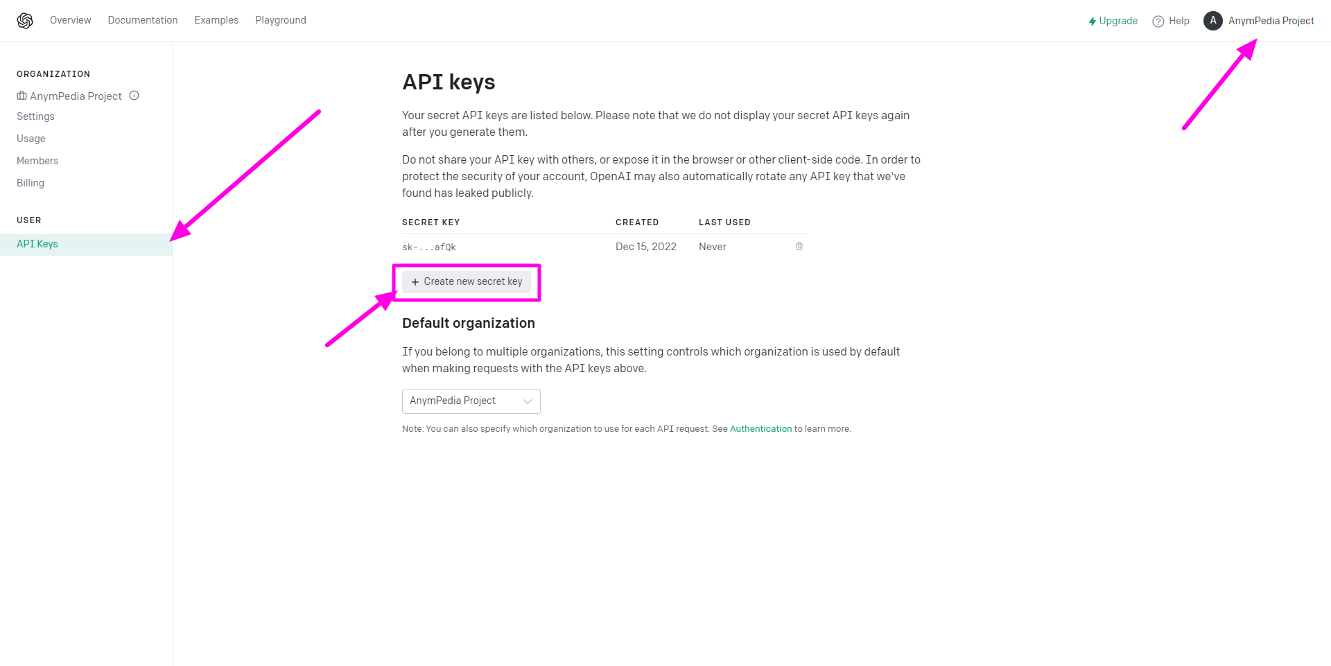 How to get openai api key. API Key Меркурий. Chat GPT API Key.
