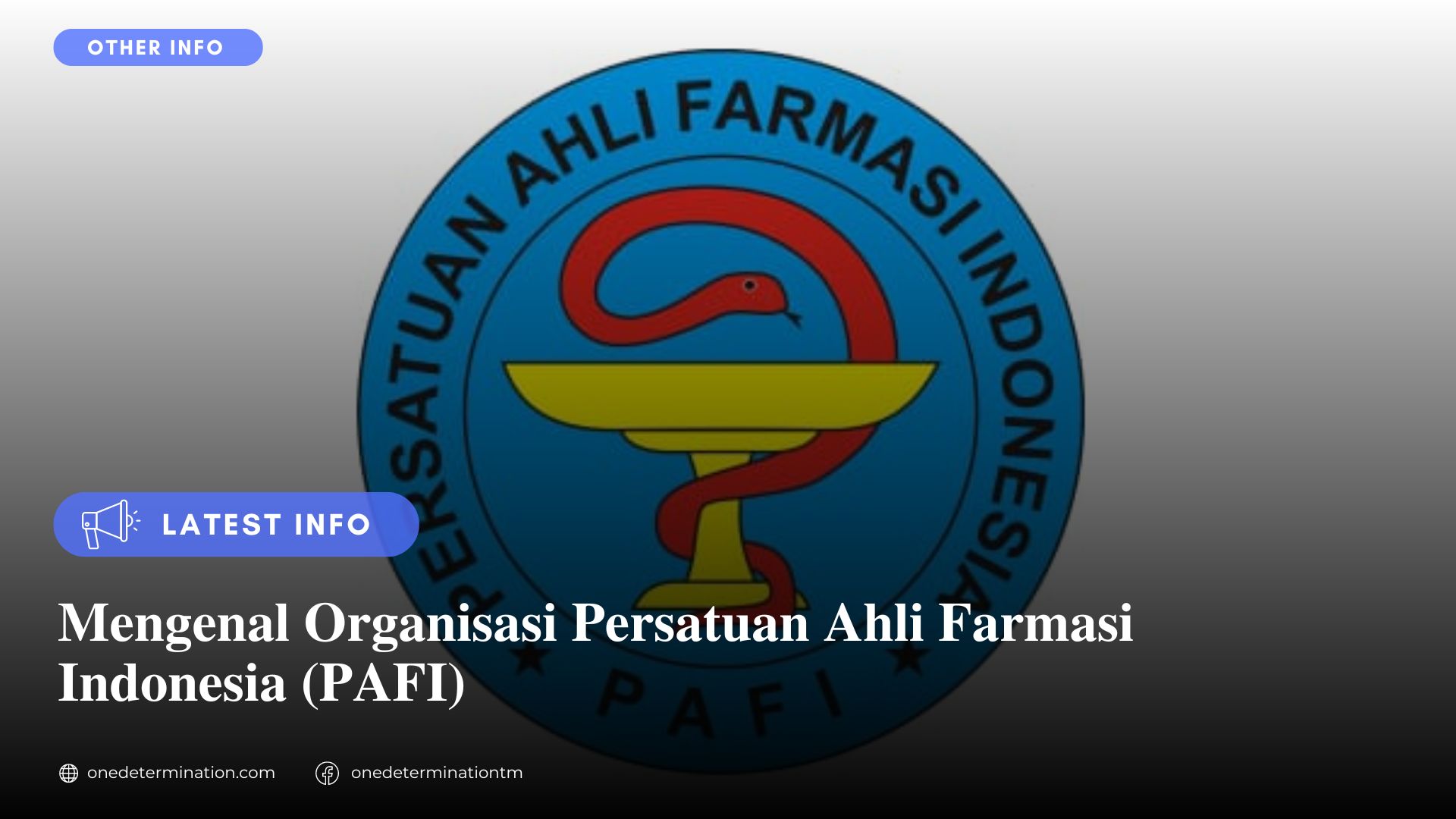 Mengenal Organisasi Persatuan Ahli Farmasi Indonesia (PAFI)