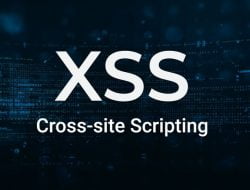 Cross-site Scripting (XSS) Payloads Cheat Sheet