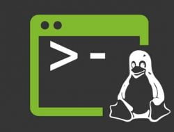 Macam-Macam Perintah Dasar Di Linux