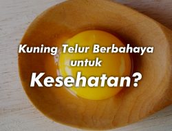 Kuning Telur Berbahaya untuk Kesehatan?