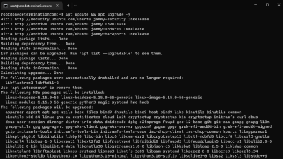 apt update & upgrade ubuntu